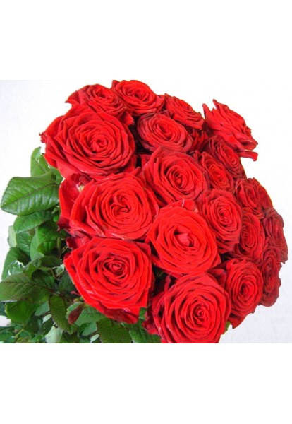 Kytice červených růží 20 ks krásná a dokonalá klasika
