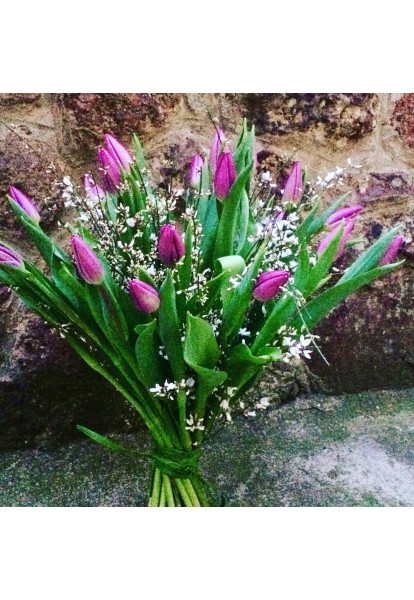 20 tulipánů s voňavým bremem 20 tulipánů s voňavým bremem