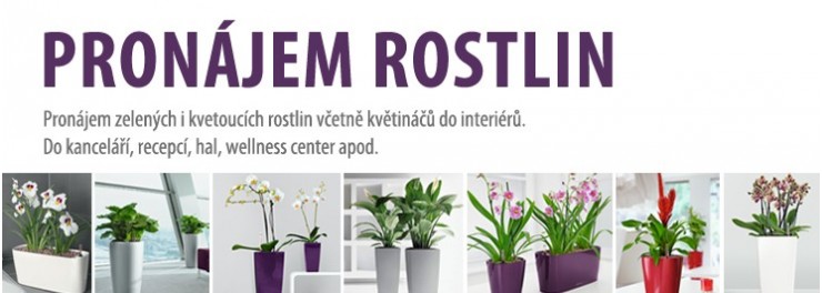  Pronájem, prodej a revitalizace  rostlin